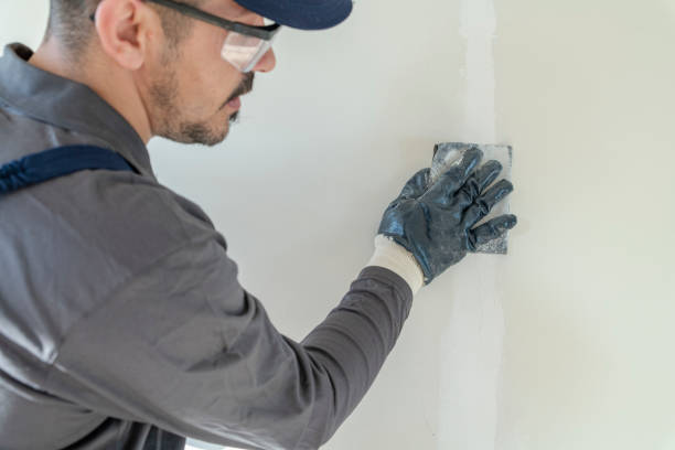  Hanover, PA Mold Removal Pros