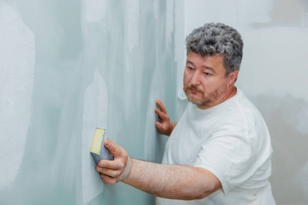 Best Environmental Consulting for Mold Prevention  in Hanover, PA