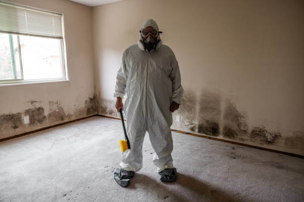 Best Asbestos and Lead Testing During Mold Inspection  in Hanover, PA